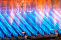 Cwmgiedd gas fired boilers